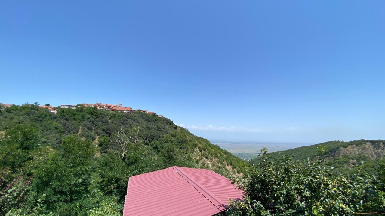Lia'S Guest House Sighnaghi Exterior foto
